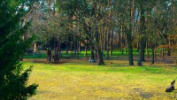 /album/a/p1090212-jpg/
